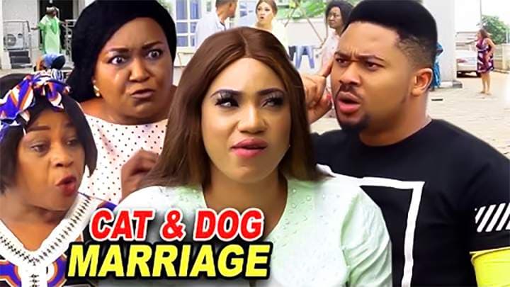 Cat & Dog Marriage