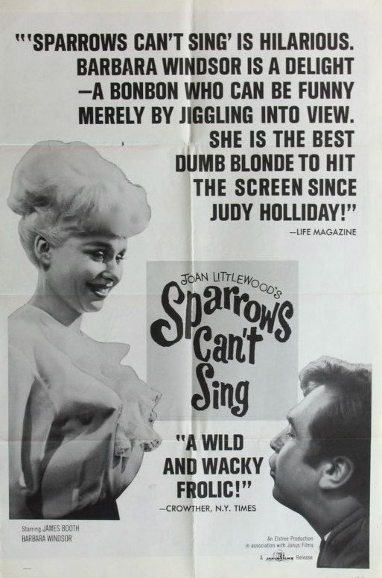 Sparrows Can't Sing