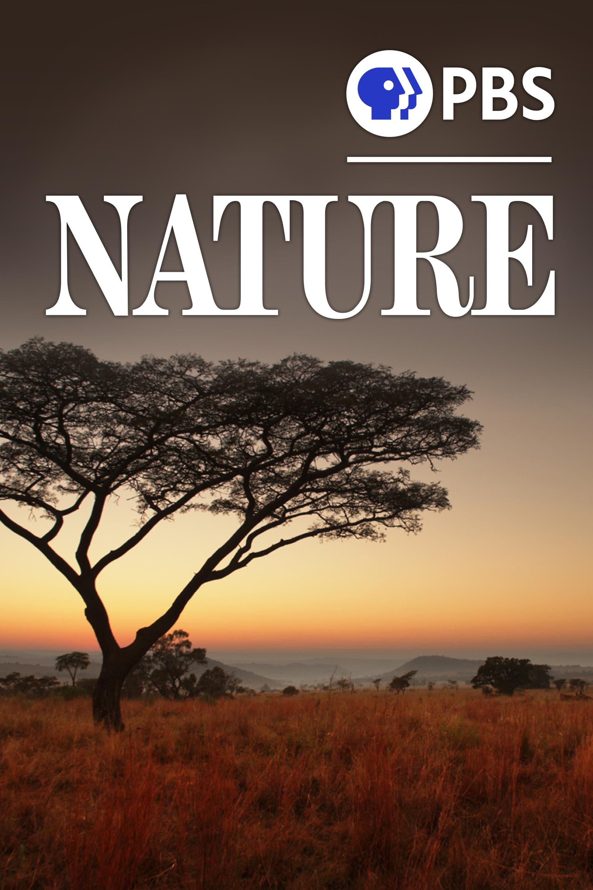 Nature S31-S45