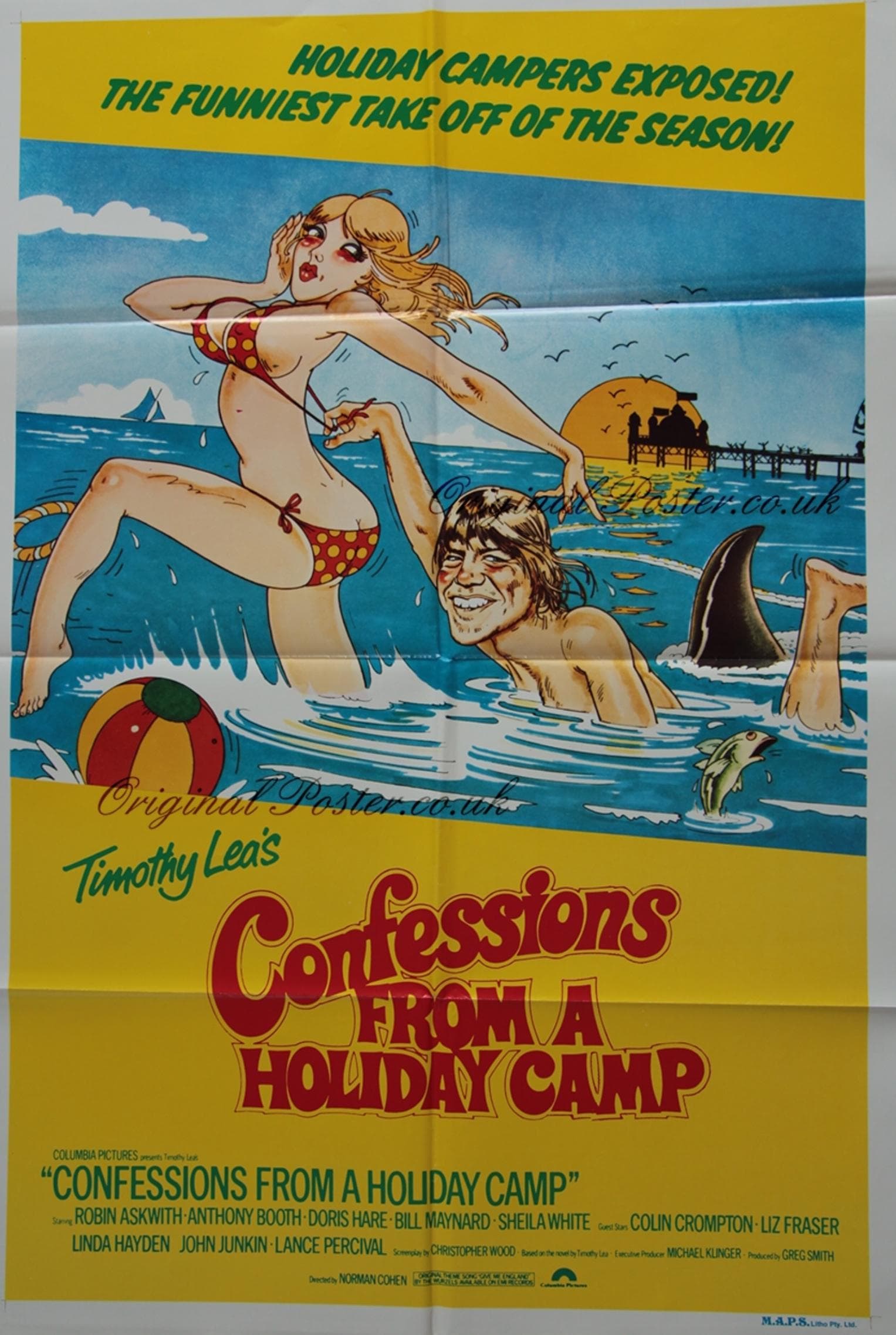 Confessions of a Summer Camp Counselor