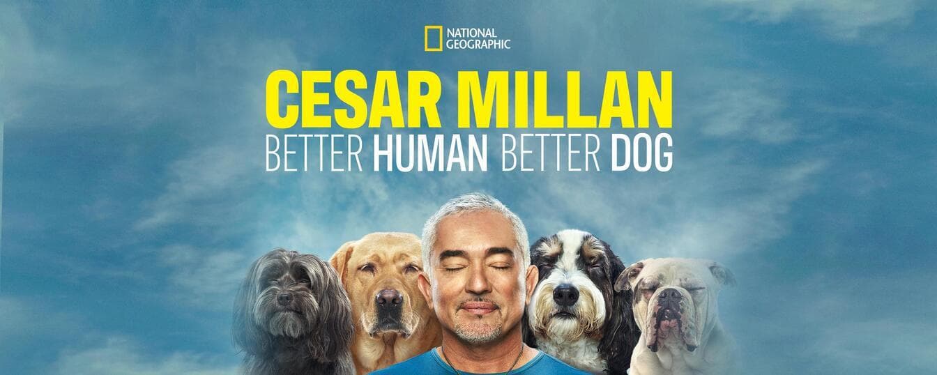 Cesar Millan: Better Human Better Dog S1-S4