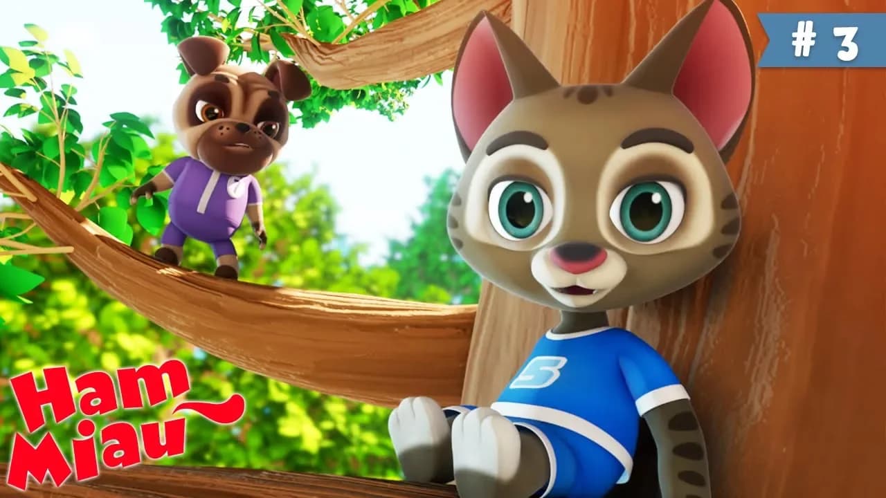 Ham Miau 🐶 Sus si jos 🐱 Desene animate pentru copii | HeyKids