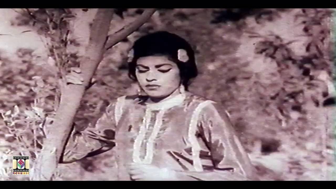 MAHI VE SANU PUL NA JAVI (Super Hit) - NOOR JEHAN - PAKISTANI FILM MALANGI