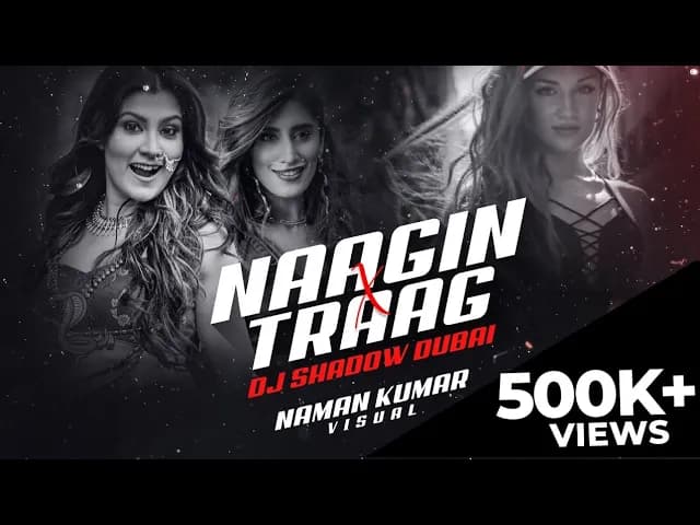Naagin X Traag | DJ Shadow Dubai Mashup | Aastha Gill | Akasa Singh