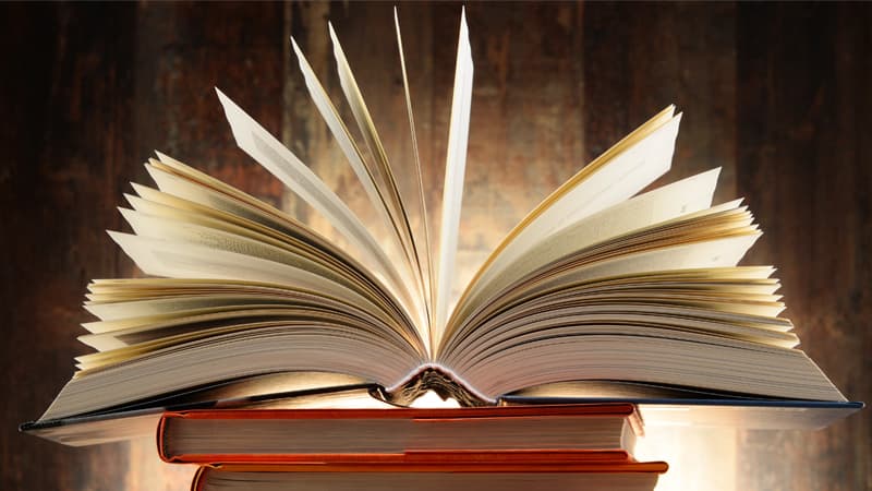Where the Red Fern Grows Study Guide