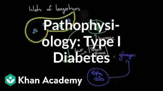 Endocrine system diseases | NCLEX-RN | Khan Academy