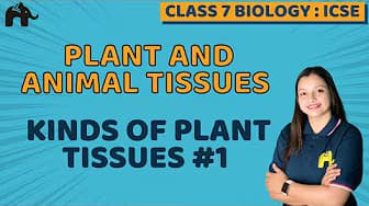 ICSE Class 7 Biology Bio