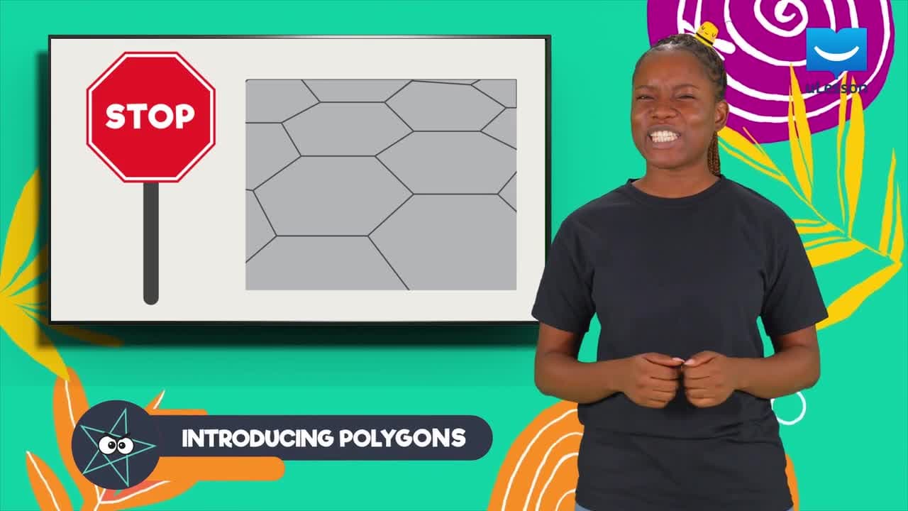 Plane Shapes - Perimeter and Area - 15 - Introducing Polygons