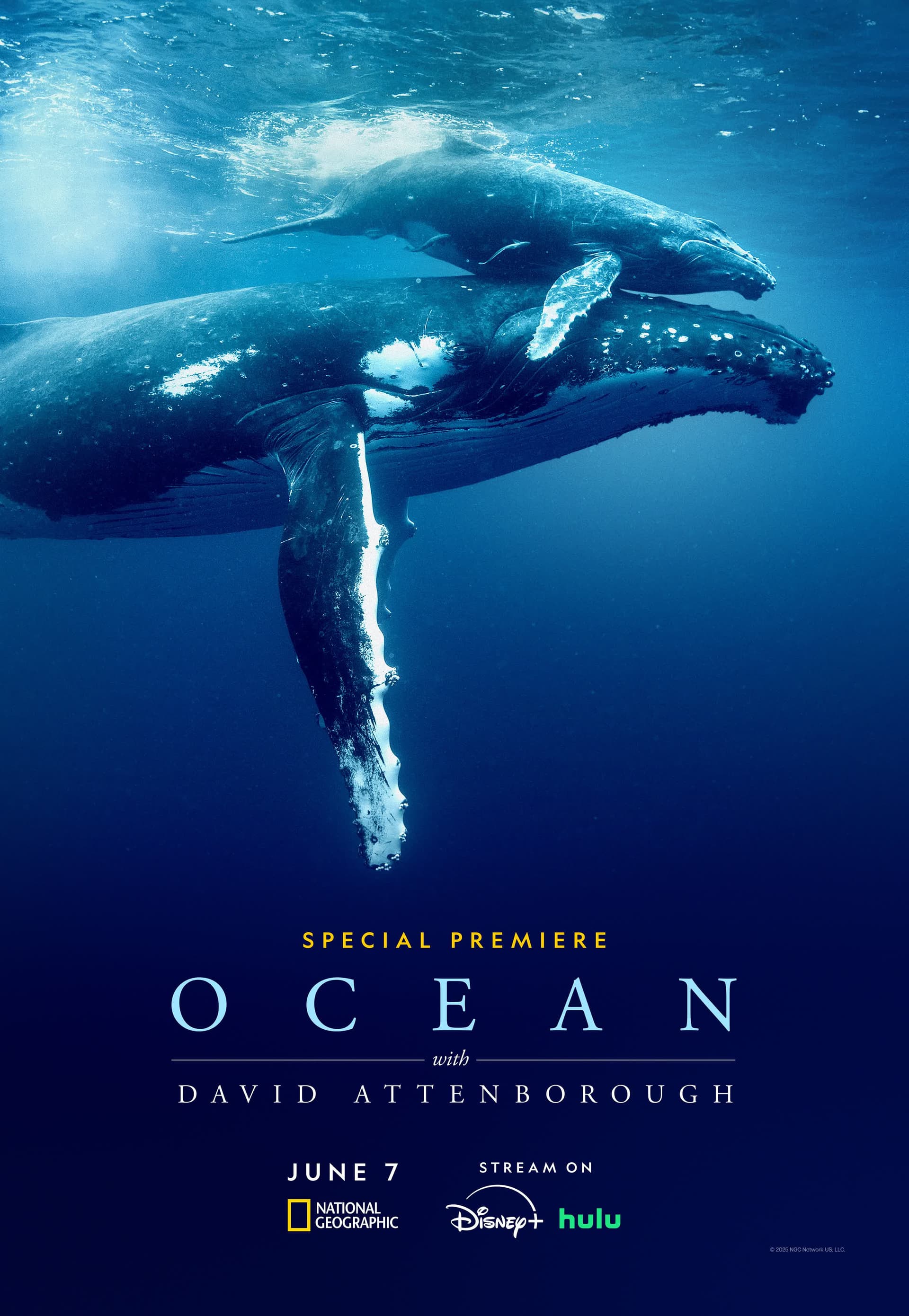 Ocean with David Attenborough