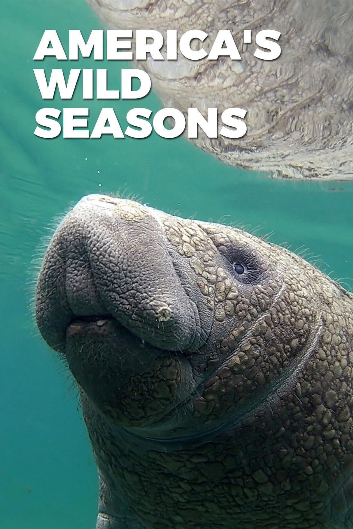 America's Wild Seasons