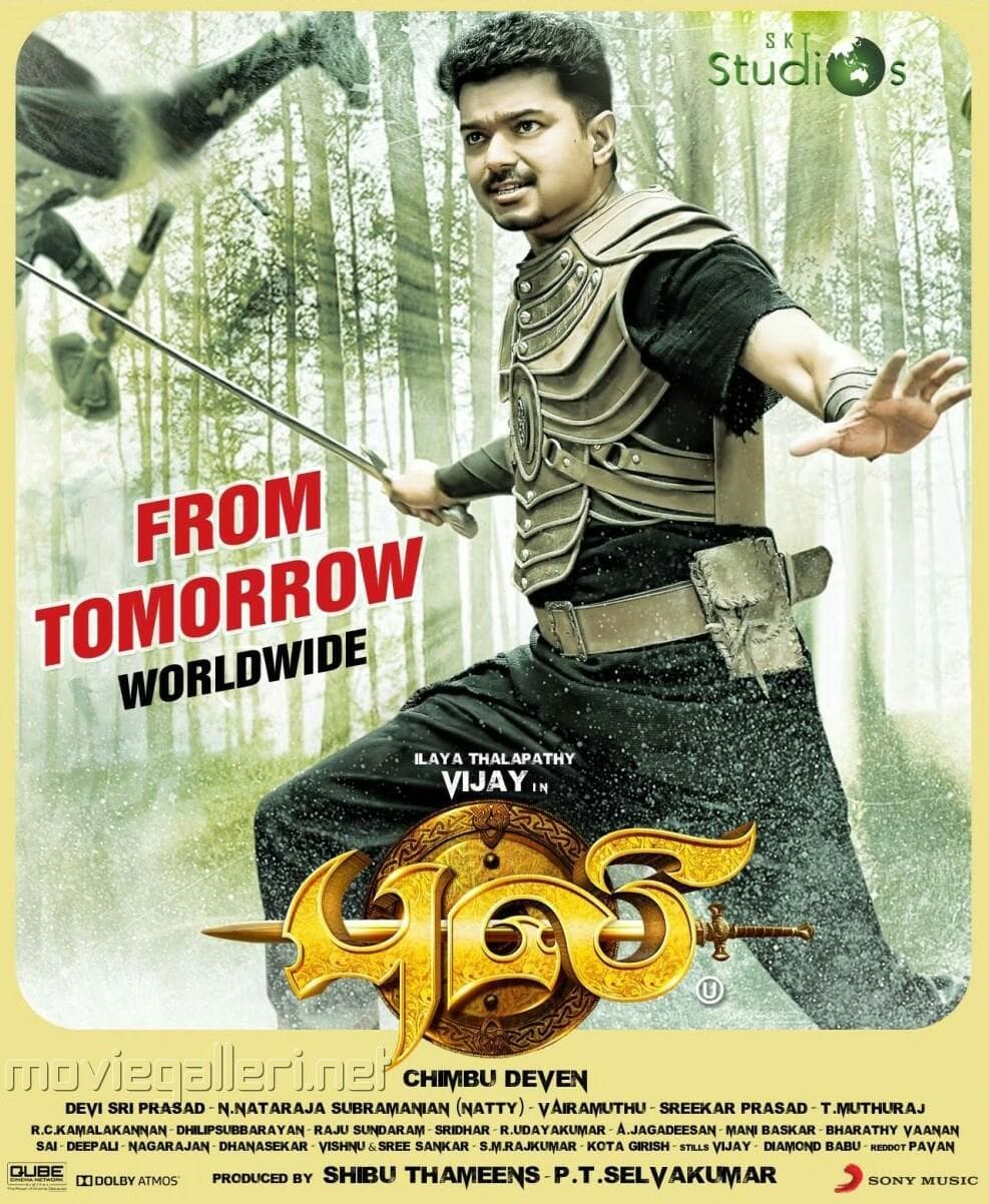 Puli