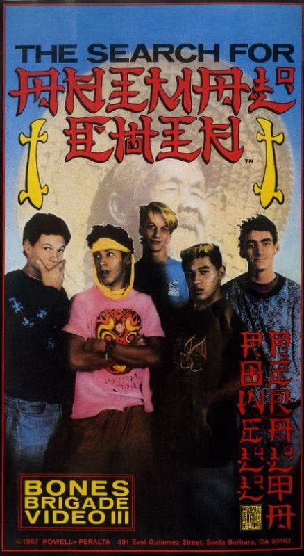 The Search for Animal Chin