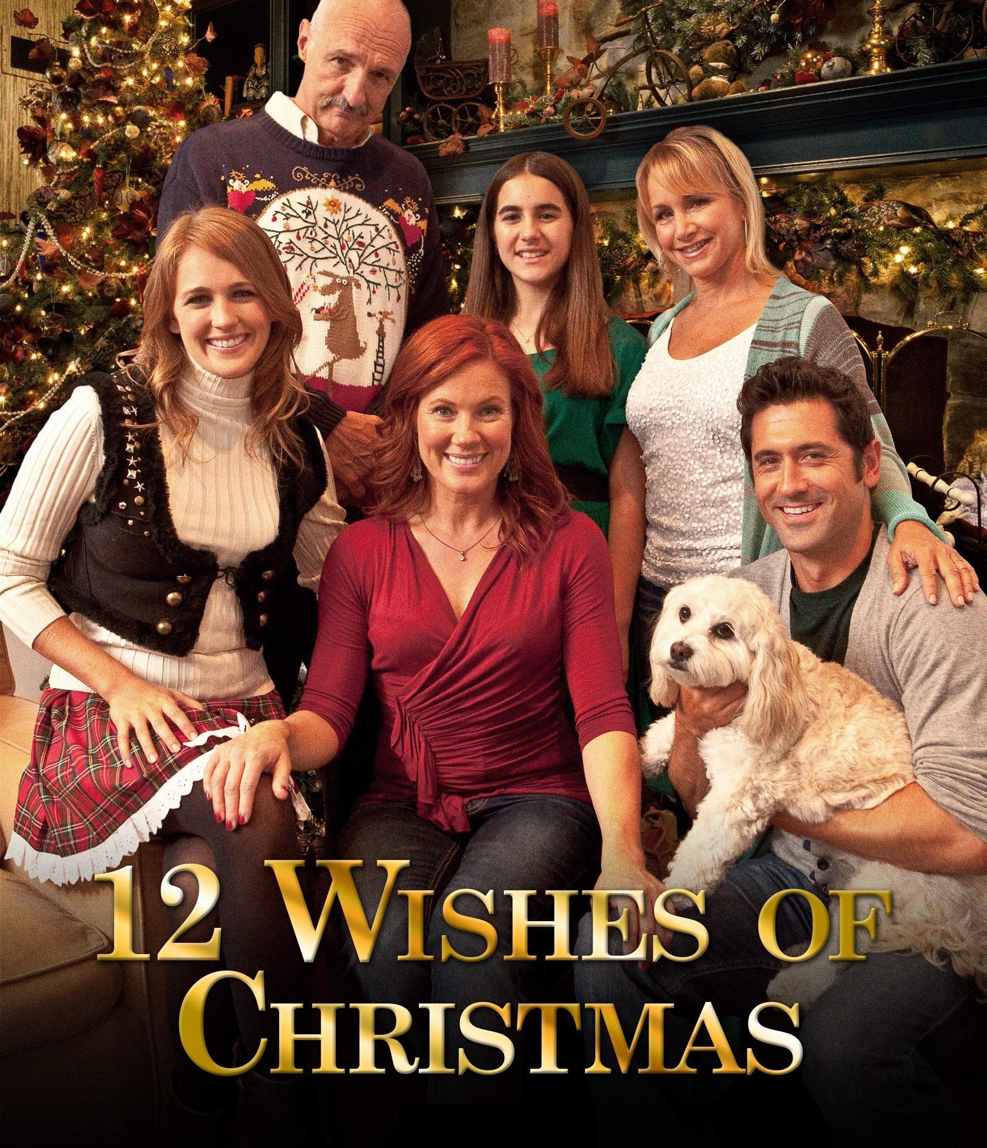 12 Christmas Wishes for My Dog