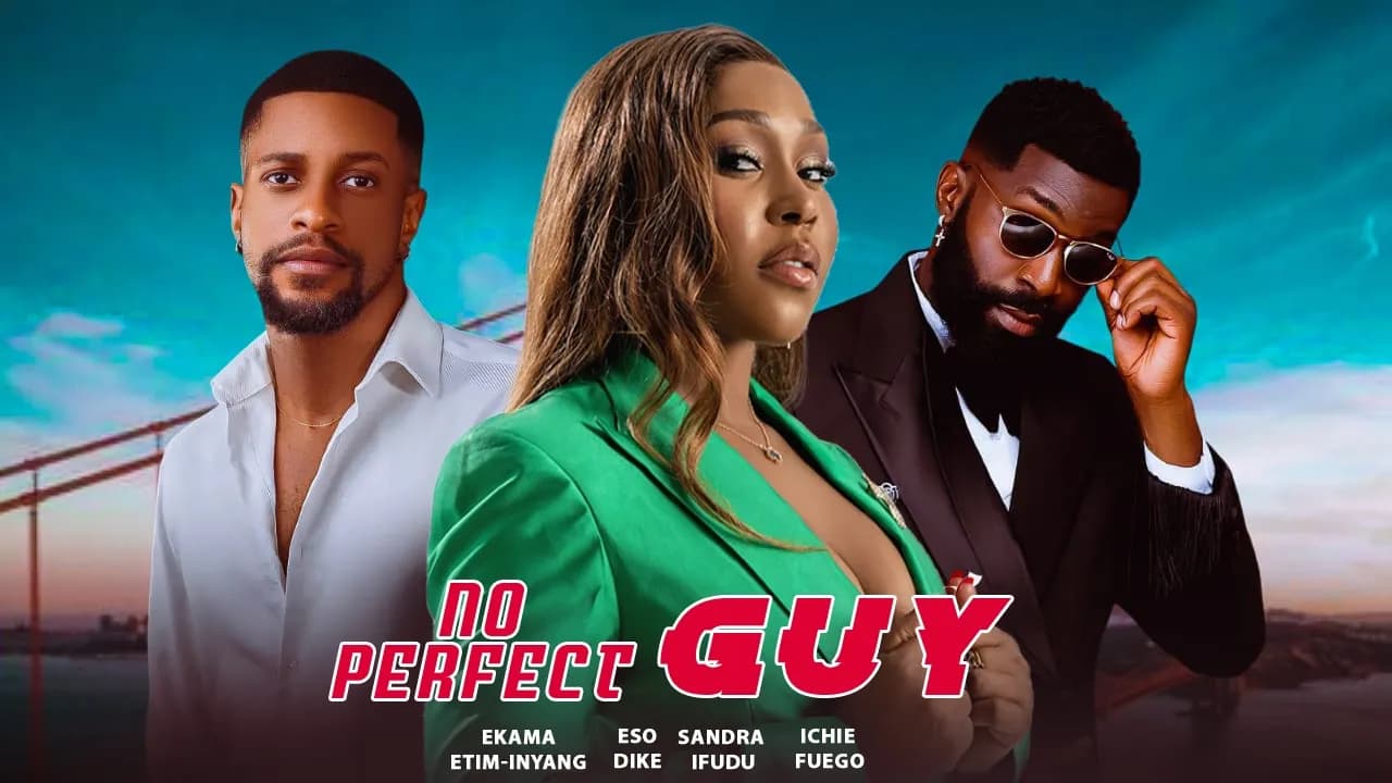NO PERFECT GUY