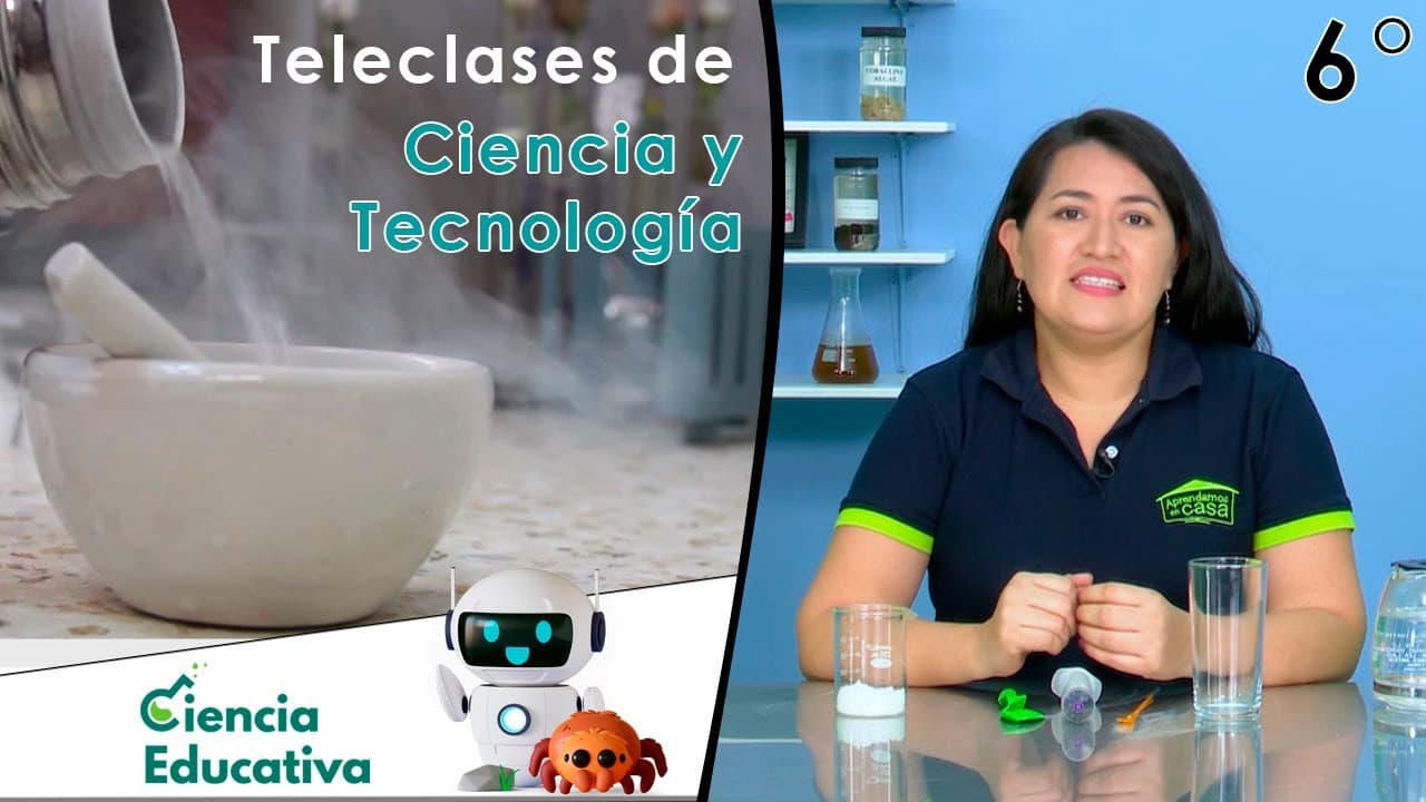 Clases de Ciencia y Tecnología - 6° Grado